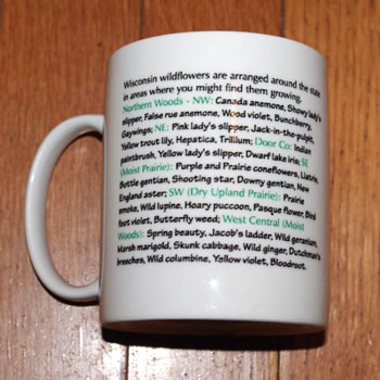 mug wi wildflowers